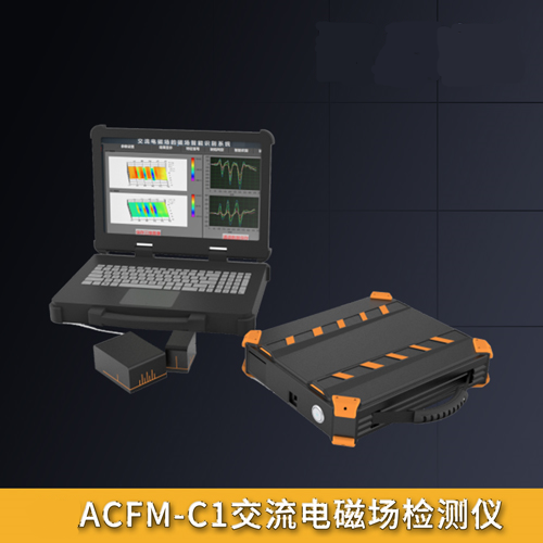 ACFM-C1型智能交流电磁场检测仪